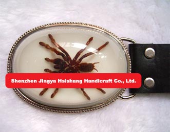 We supply Insect Amber Jewelry with high quality Very unique